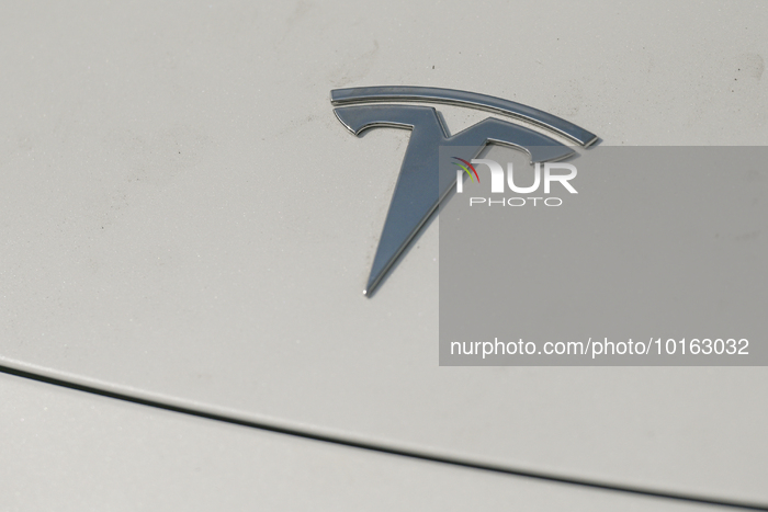 Thousands Gather Daily At The Rouen Armada