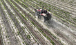 

Farmers are working in a chili field in Bazhou City, Xinjiang Province, China, on June 1...