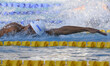 David Popovici (ROU) during the International Swimming Championships - 59th Settecolli Tro...