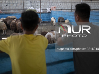 Iranian shoppers look at a flock of sheep before being slaughtered to mark the Eid al-Adha holiday at a temporary livestock market held by t... by Morteza Nikoubazl/NurPhoto