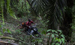 Workers harvest oil palm in an oil palm plantation in the Jambi region, Sumatra, on June 2...