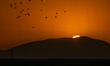  Sunset near the Syrian-Turkish border, in the village of Deirbalout, northwest of Syria,...