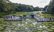 NANNING, CHINA - JULY 7, 2023 - Leaves of Giant Waterlily float on the water in Nanning, G...