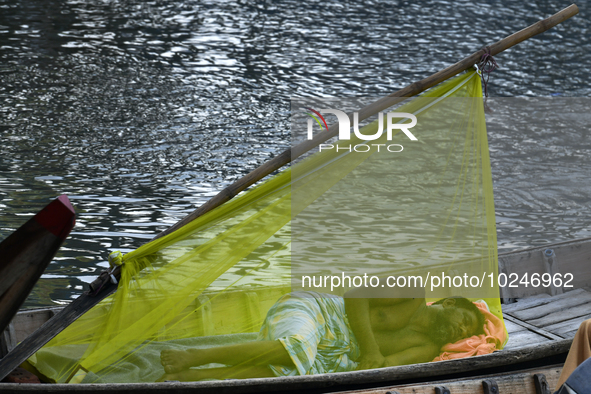 A boatman sleeps under a mosquito net on his boat to protect himself from dengue at the bank of the Buriganga River in Dhaka, Bangladesh, on...