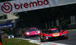 The #51 FERRARI AF CORSE (ITA), Ferrari 499P, Alessandro Pier Guidi (ITA), James Calado (G...