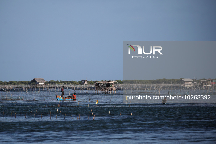 Fishing In Jaffna, Sri Lanka