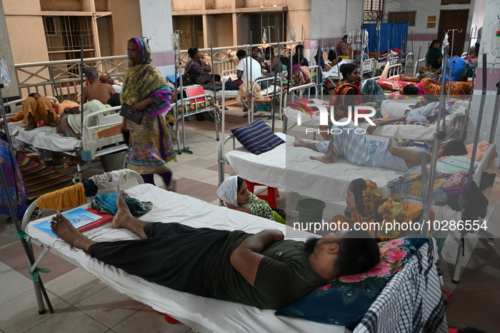 Dengue In Dhaka