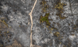 Aerial view of the aftermath of a wildfire in San Cataldo, near Lecce, Italy, on July 26,...
