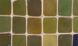  An aerial photo shows colorful farmed fish ponds in Ningbo, Zhejiang Province, China, May...