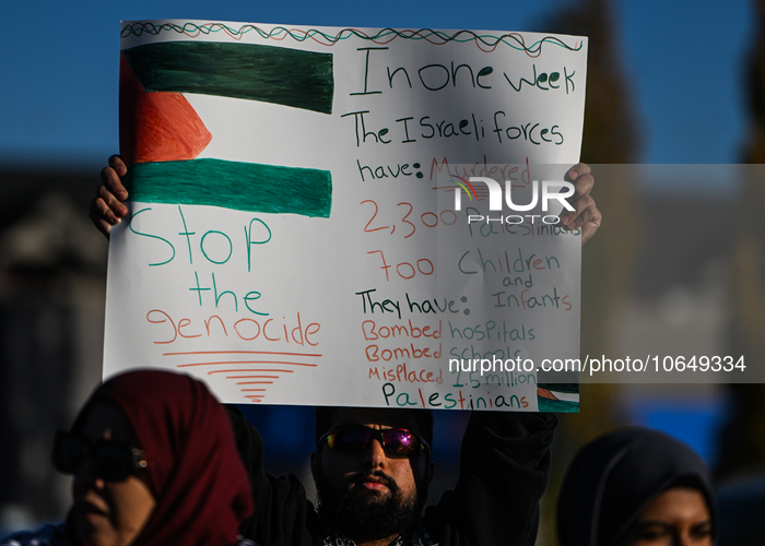 Thousands Gather At Pro-Palestinian Demonstration In Edmonton