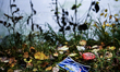 Atmosphere During Reconnaissance ,Fia World Rally Championship WRC Central European Rally,...