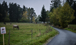Atmosphere During Reconnaissance ,Fia World Rally Championship WRC Central European Rally,...