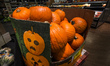 EDMONTON, CANADA - OCTOBER 24, 2023 : A fresh presentation of pumpkins in a local grocery...