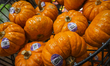 EDMONTON, CANADA - OCTOBER 24, 2023 : A fresh presentation of small pumpkins in a local g...