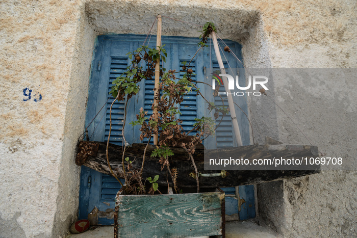 Greece and the phenomenon of spring within winter time