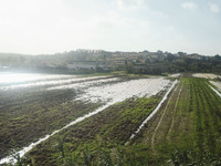 A general view of houses and roads submerged due flood damage in Toscana on November 04, 2023 in Prato, Italy (