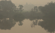 A farmer rides a tractor near the floodplains of river Yamuna amid heavy smoggy conditions...