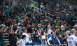 Panathinaikos Athens supporters are having fun during the Euroleague, Round 9, match betwe...
