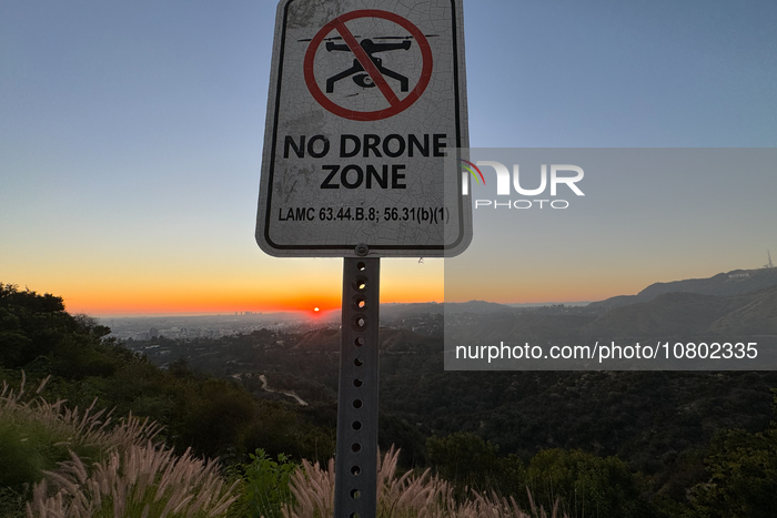 Daily Life In Los Angeles