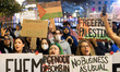 Protesters are gathering outside the Reliant Lights Mayor's Holiday Spectacular at Houston...