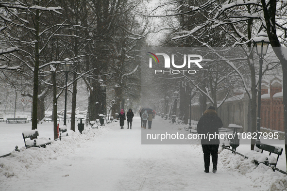 Snow is covering the city streets in Krakow, Poland, on December 2, 2023. 