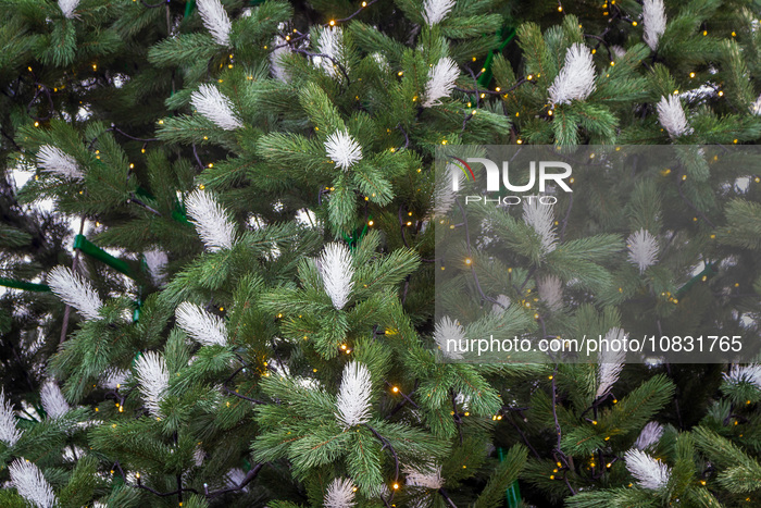 Christmas tree gets decorated in Kyiv