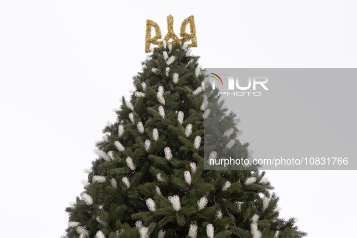 Christmas tree gets decorated in Kyiv