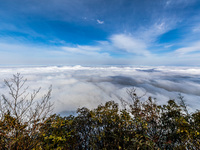 A ''seascape'' meteorological landscape is appearing in the Jinfo Mountain scenic area in Chongqing, China, on December 6, 2023. (