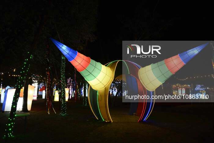 Brilla Fest, A Christmas In The Forest