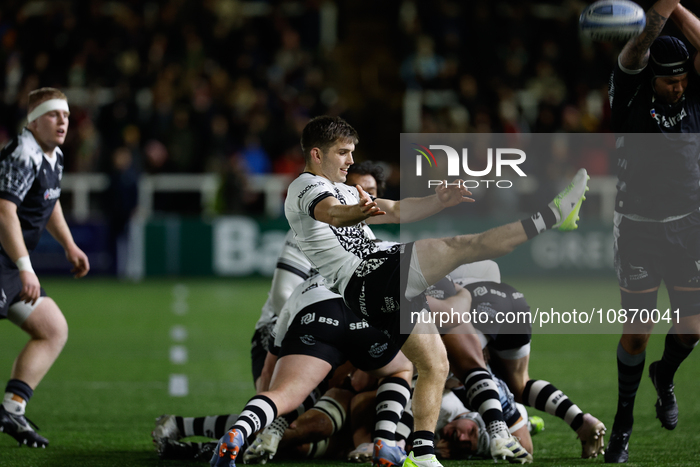 Newcastle Falcons v Bristol Bears - Gallagher Premiership Rugby