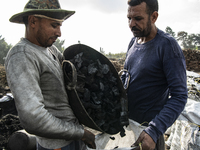 Egyptian laborers are packing picked charcoal into bags at the charcoal factory in Al Bostan, Beheira Governorate, Egypt, on December 17, 20...