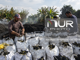 Egyptian laborers are bagging charcoal for shipping at the charcoal factory in Al Bostan, Beheira Governorate, Egypt, on December 17, 2023....