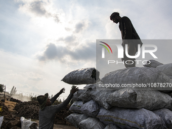 Egyptian laborers are loading a truck with bags of charcoal for shipping at the charcoal factory in Al Bostan, Beheira Governorate, Egypt, o...
