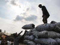 Egyptian laborers are loading a truck with bags of charcoal for shipping at the charcoal factory in Al Bostan, Beheira Governorate, Egypt, o...