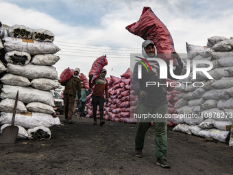 Egyptian laborers are carrying bags of charcoal on their shoulders for shipping at the charcoal factory in Al Bostan, Beheira Governorate, E...