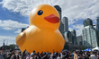The world's largest rubber duck is returning to Toronto, Ontario, Canada, on September 16,...