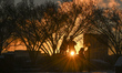 EDMONTON, CANADA - JANUARY 13, 2024:A sunset view from Constable Ezio Faraone Park, on Ja...