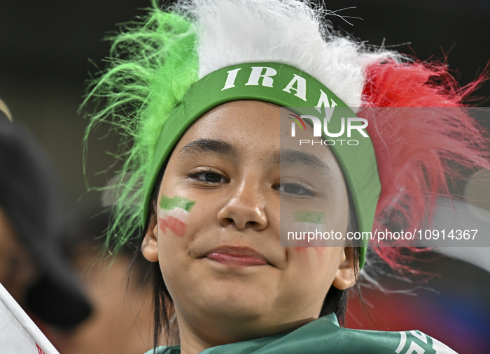 Iran v Palestine - AFC Asian Cup Qatar 2023