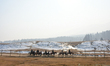 Tourists are riding horses beside a partially frozen stream in Gulmarg, a ski destination,...