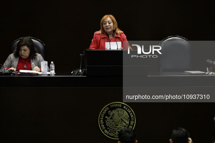 Mexico’s Human Rights Chief Rosario Piedra Ibarra Annual Activities Report