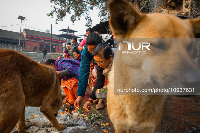 Month Long Madavnarayan Festival Celebrated In Nepal
