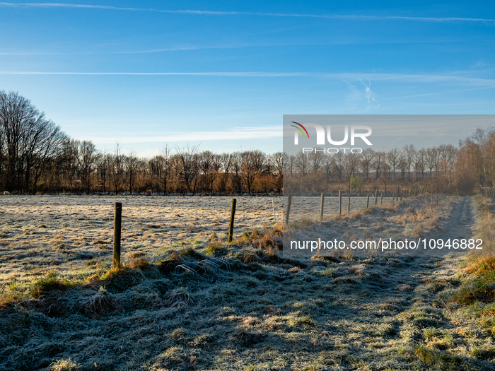 Freezy Mornings In The Netherlands.
