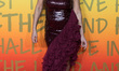 LONDON, UNITED KINGDOM - JANUARY 30, 2024: Lisa Maffia attends the UK premiere of 'Bob Mar...