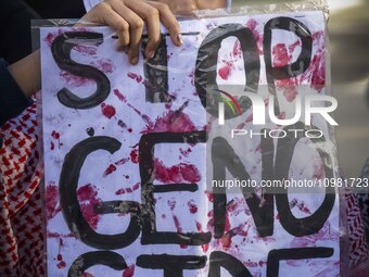 A person is holding a banner with the inscription ''Stop the genocide'' during a demonstration in central Lisbon, Portugal, on February 10,...