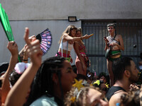 Street carnival blocks are parading in the city of Sao Paulo on February 10, 2024. (