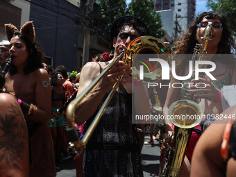Street carnival blocks are parading through the city of Sao Paulo on Saturday, February 10, 2024. (