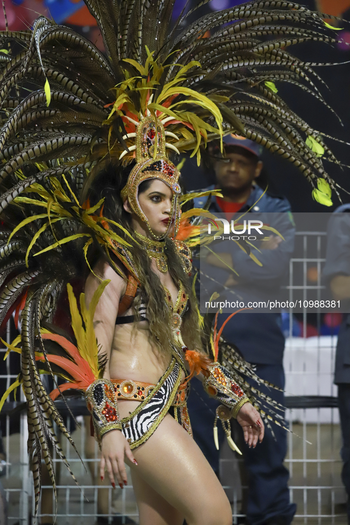 Brazil Carnival 2024