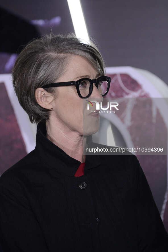 Director S.J. Clarkson is attending the red carpet of the Madame Web film premiere at Cinemex Antara in Mexico City, Mexico, on February 13,...