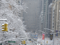 New Yorkers are waking up to fresh snow in New York, USA, on February 17, with an accumulation of more than 15 centimeters in parts of New Y...