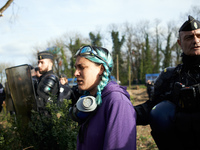 Gendarmes Mobiles are repelling sympathizers of 'Ecureuils,' who are living in the trees to block their cutting for the A69 highway. In the...